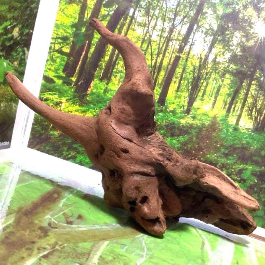 CFT様 リクエスト 4点 まとめ商品