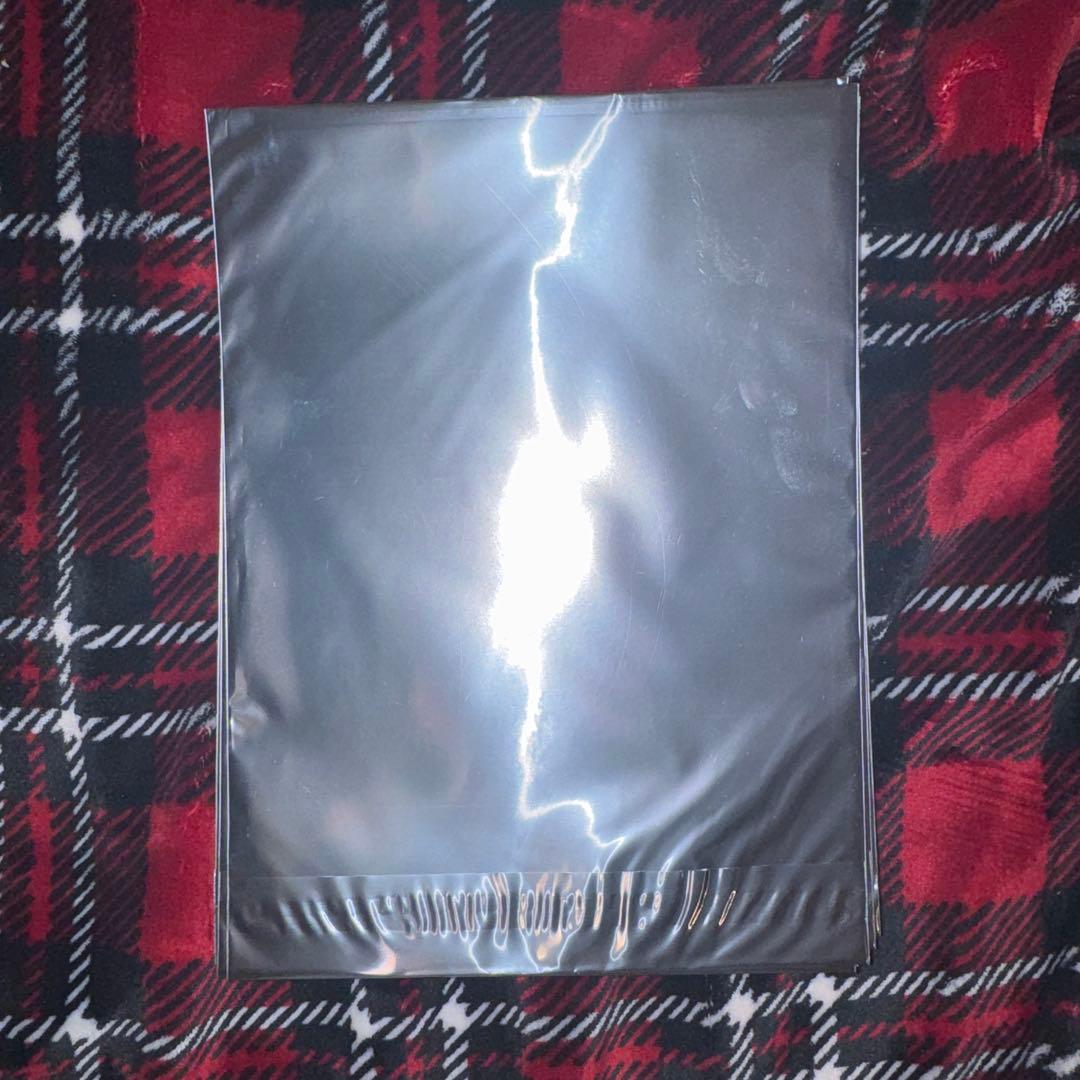 未開封19枚Crazy Raccoon × GiGOコラボ第2弾 クリアファイル