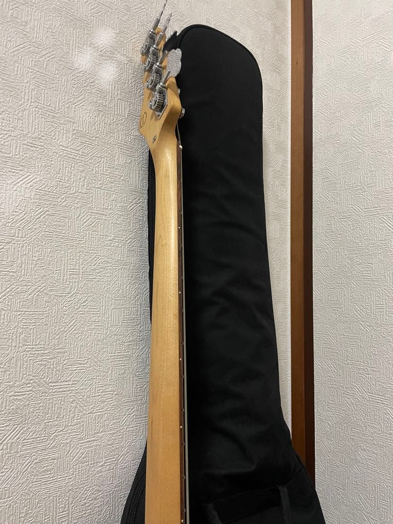 G&L L-2000 トリヴュート Mod