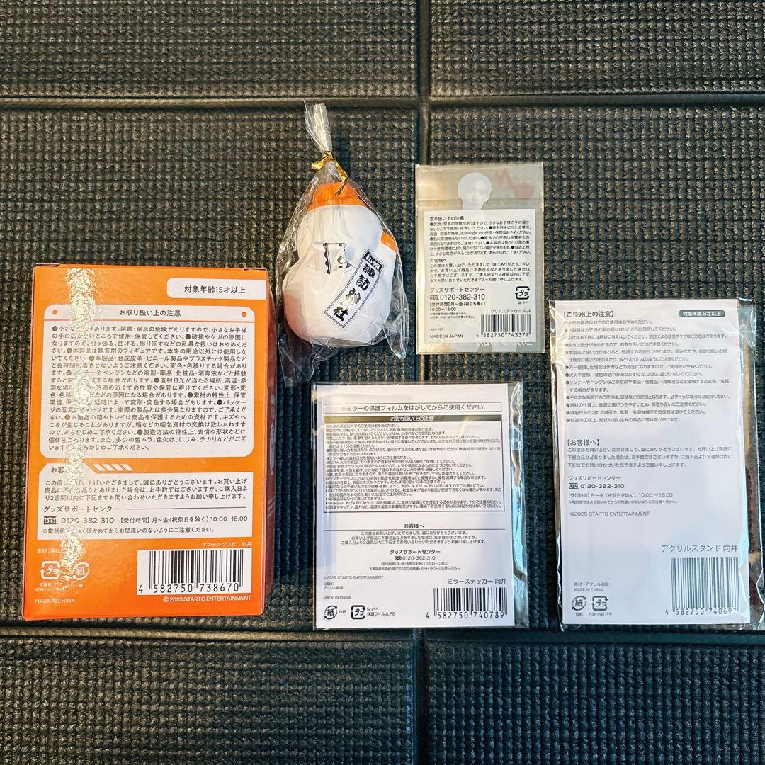 Man LIVEグッズ向井康二【パンフ追加◎】おまけ有