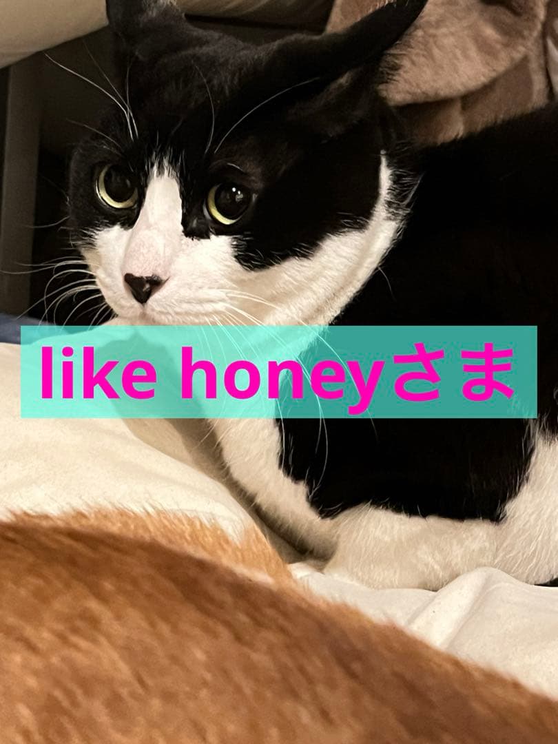 ★当選品希少❗️ゼスプリキウイブラザーズ【レッド】★