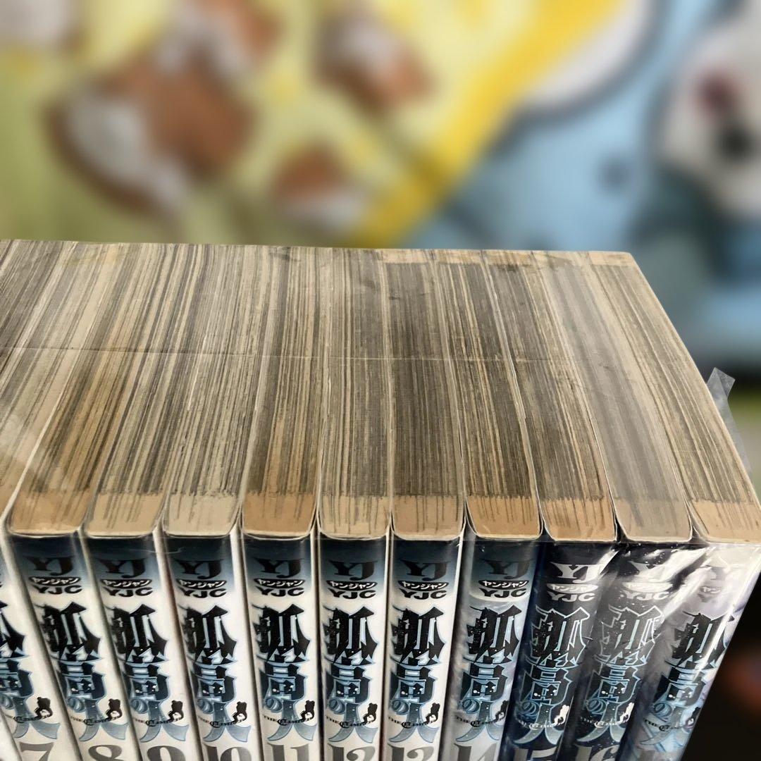 孤高の人　全巻セット 17巻