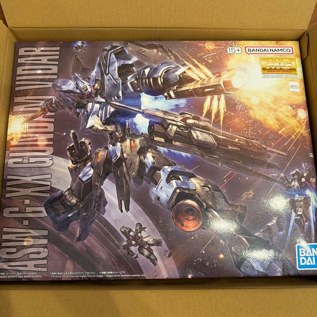 ガンプラ MG ヴィダール