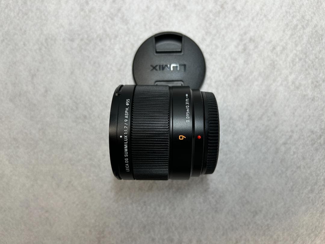 LEICA SUMMILUX 9mm F1.7 H-X09 単焦点レンズ
