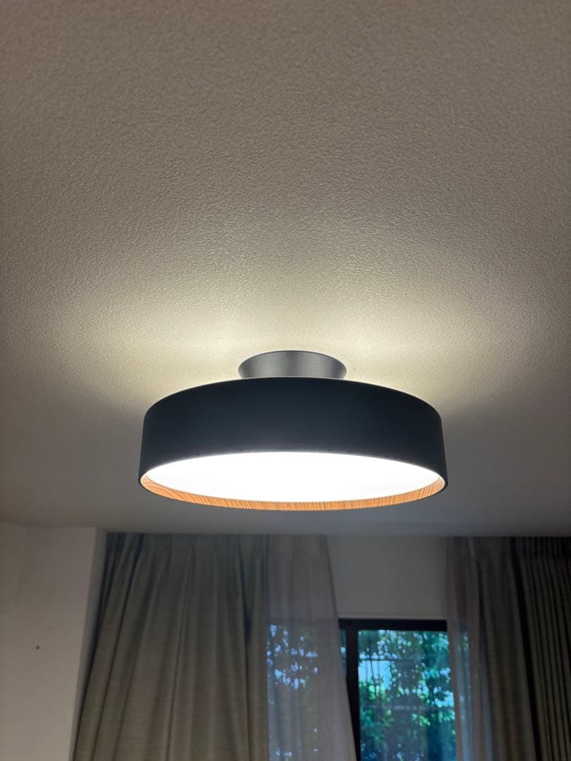 ART WORK STUDIO シーリングライト 黒