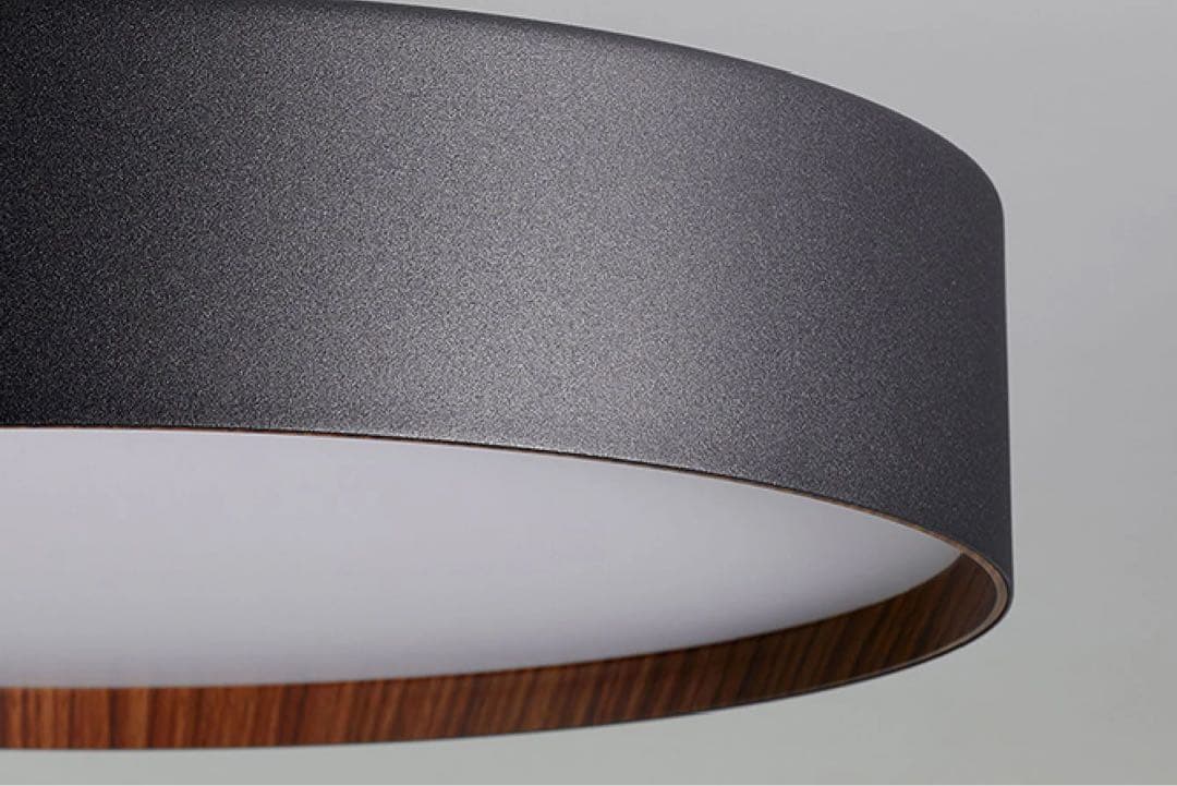 ART WORK STUDIO シーリングライト 黒