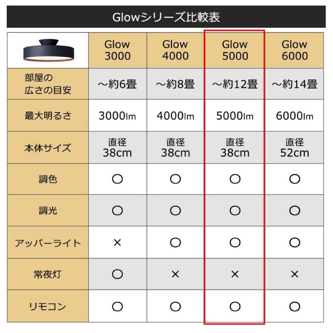 ART WORK STUDIO シーリングライト 黒