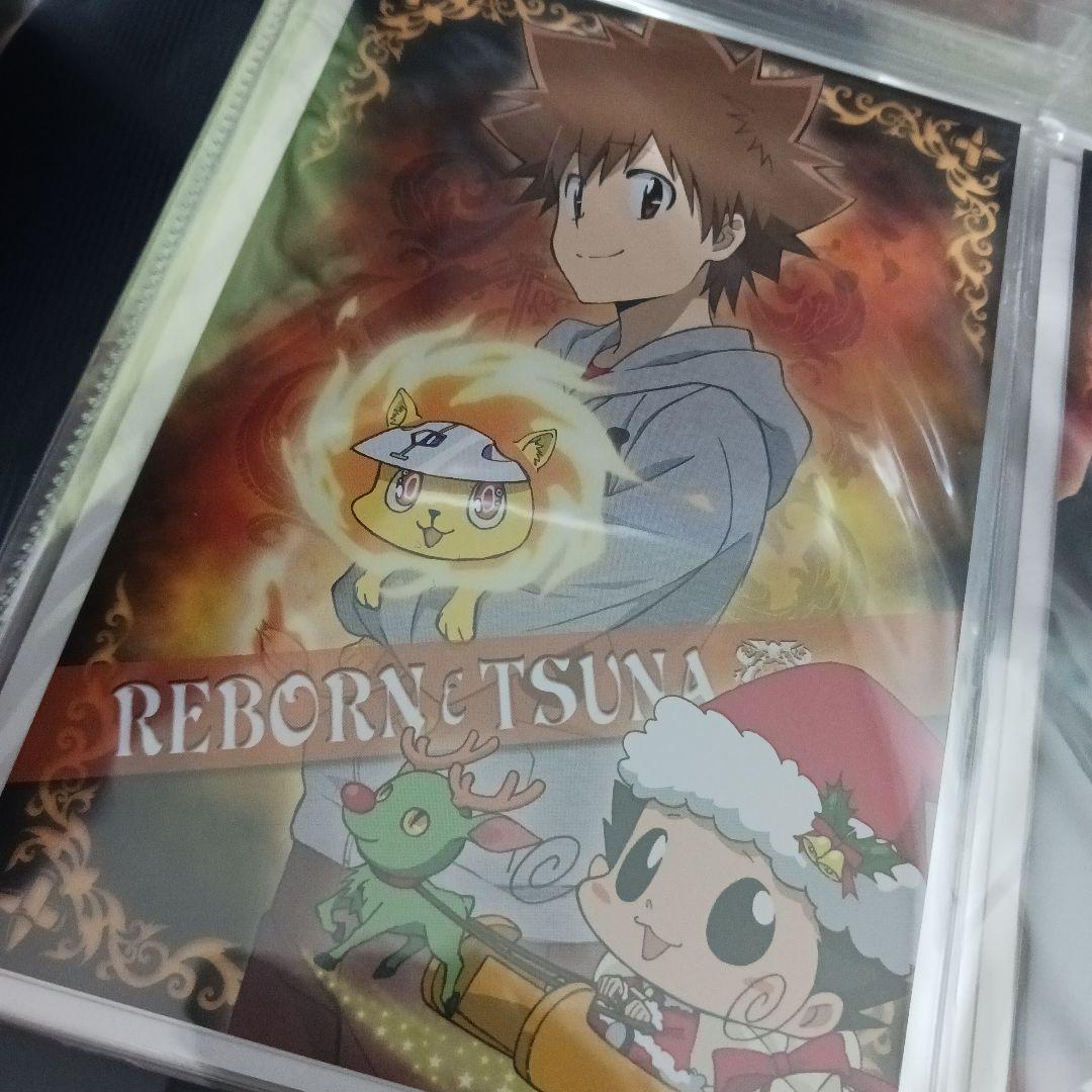 家庭教師ヒットマンREBORN!　沢田綱吉　描き下ろし　ポストカード