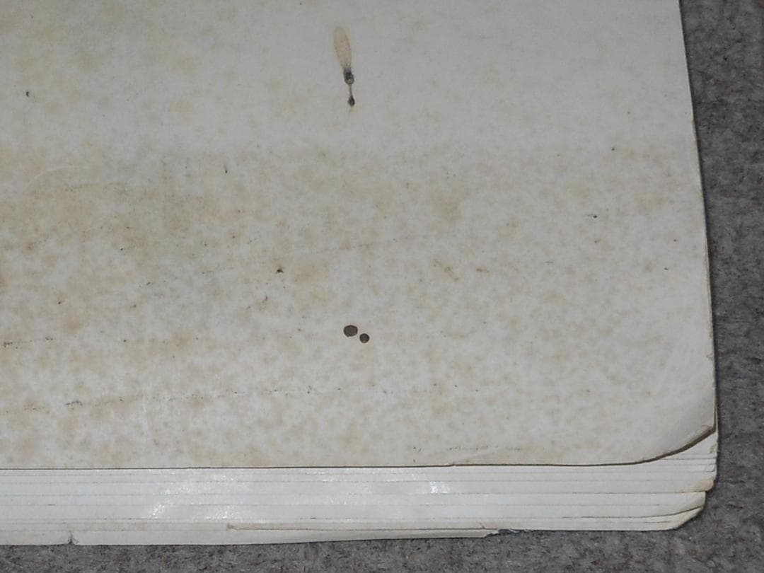 岩城滉一　舘ひろし　クールス　渡哲也　高倉健　菅原文太　東映１９７７年カレンダー