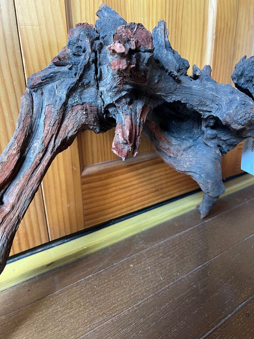 ADA ホーンウッド　HORN WOOD LL