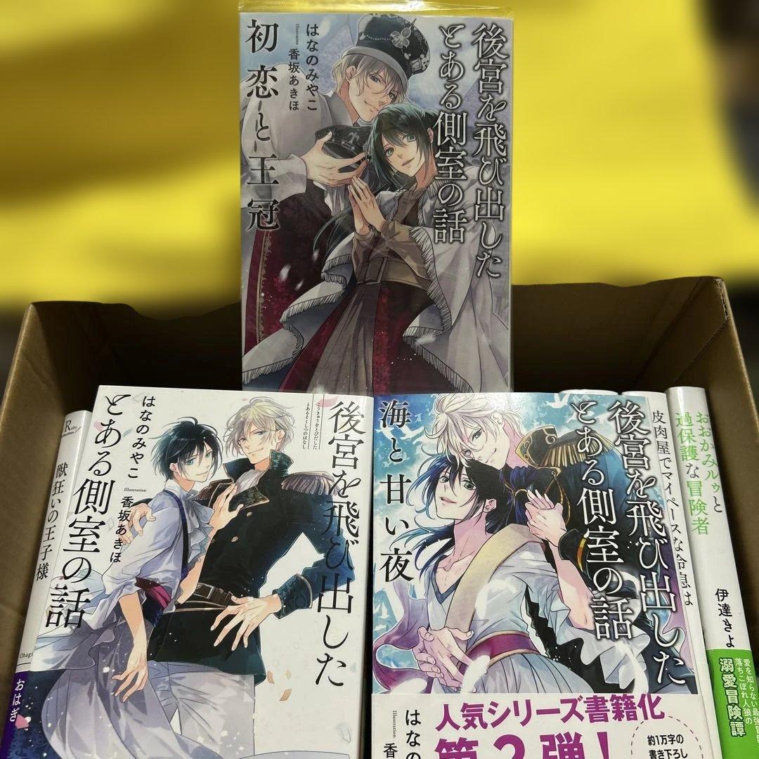 bl 小説纏め売り　大判サイズ15冊セット