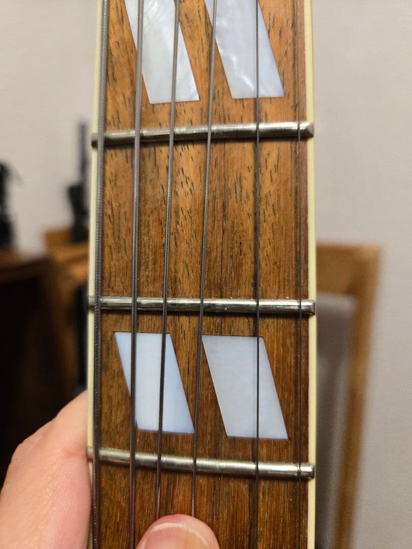 【中古】Eastman AR-175CE Antique Red