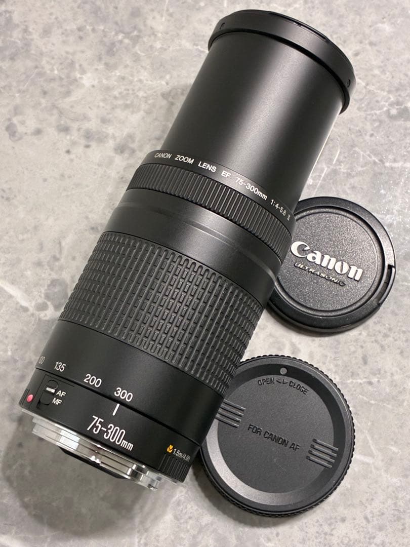 ⭐️美品⭐️キャノン Canon EF 75-300mm F/4-5.6 II 望遠