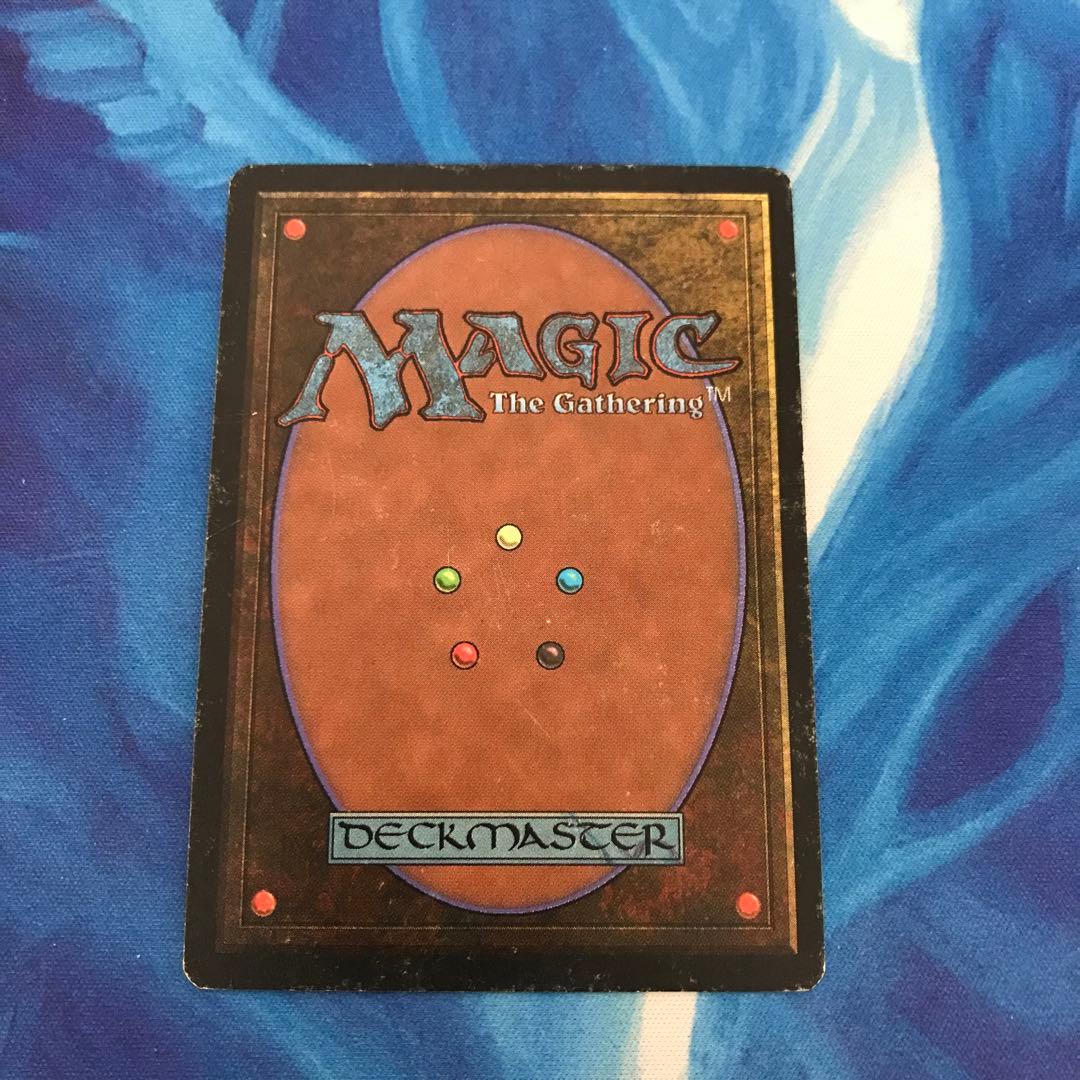 マジック：ザ・ギャザリング MTG Tropical 