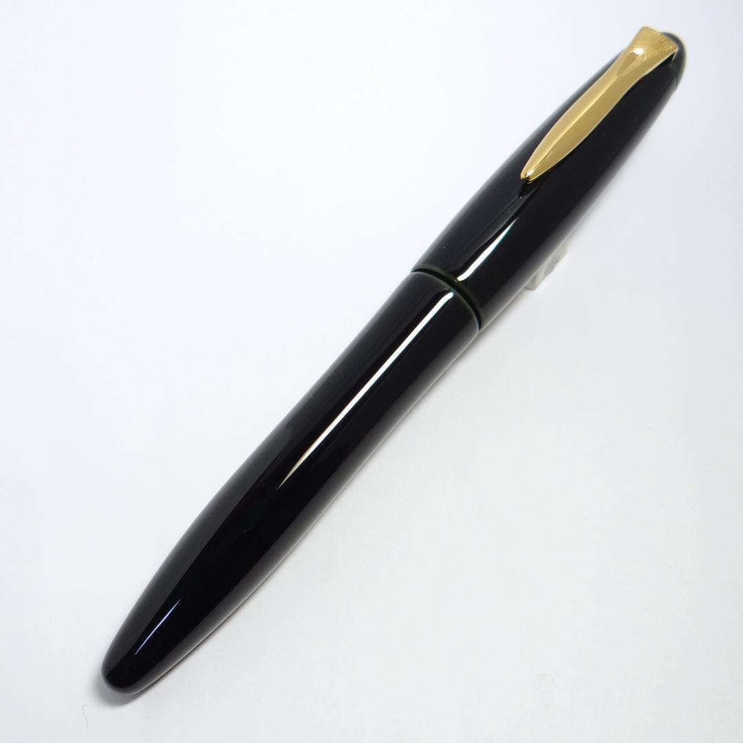 【状態良好・買得】プラチナ 万年筆 出雲 空溜　溜塗り 空溜 PLATINUM