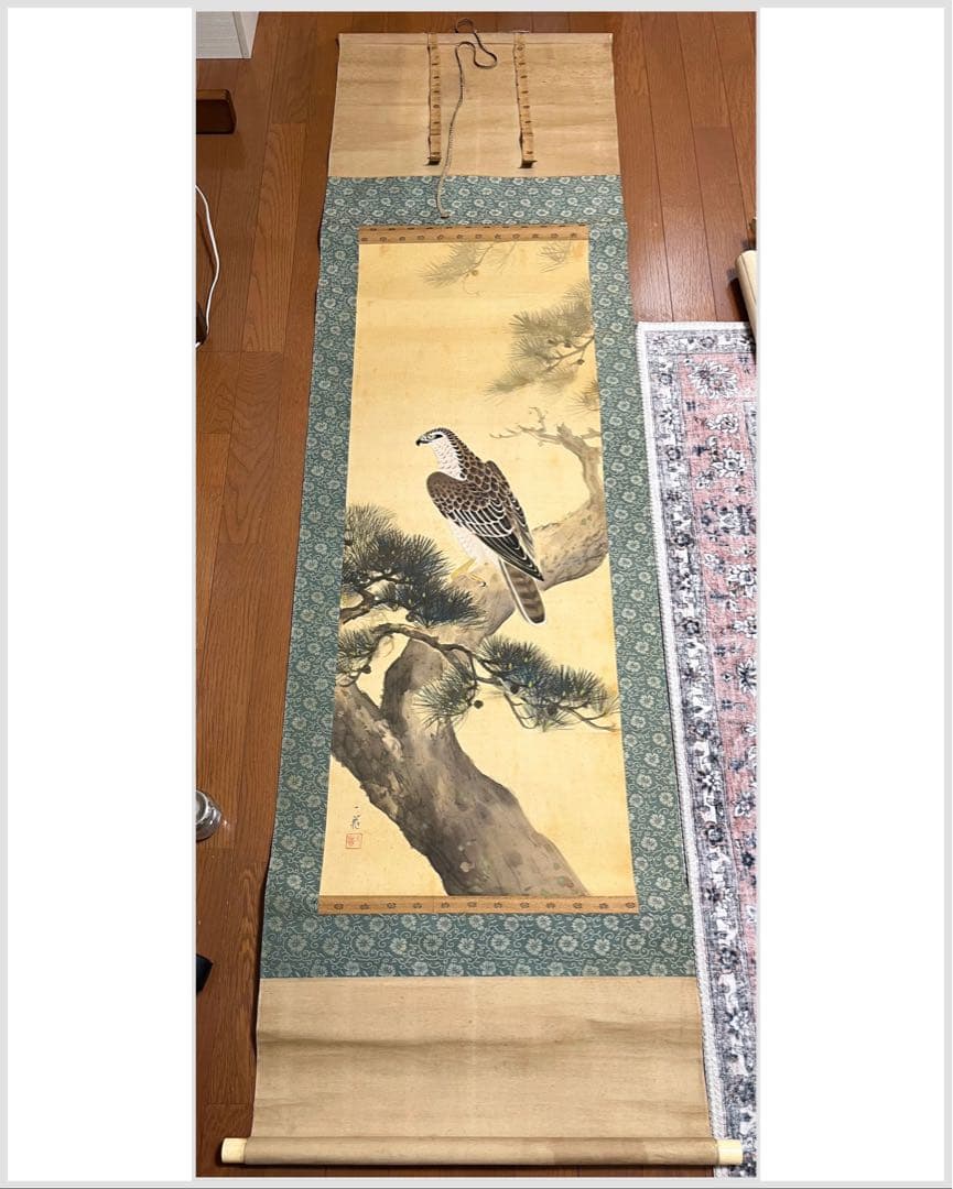 【骨董】掛け軸　松上の鷹 肉筆　桐箱入り