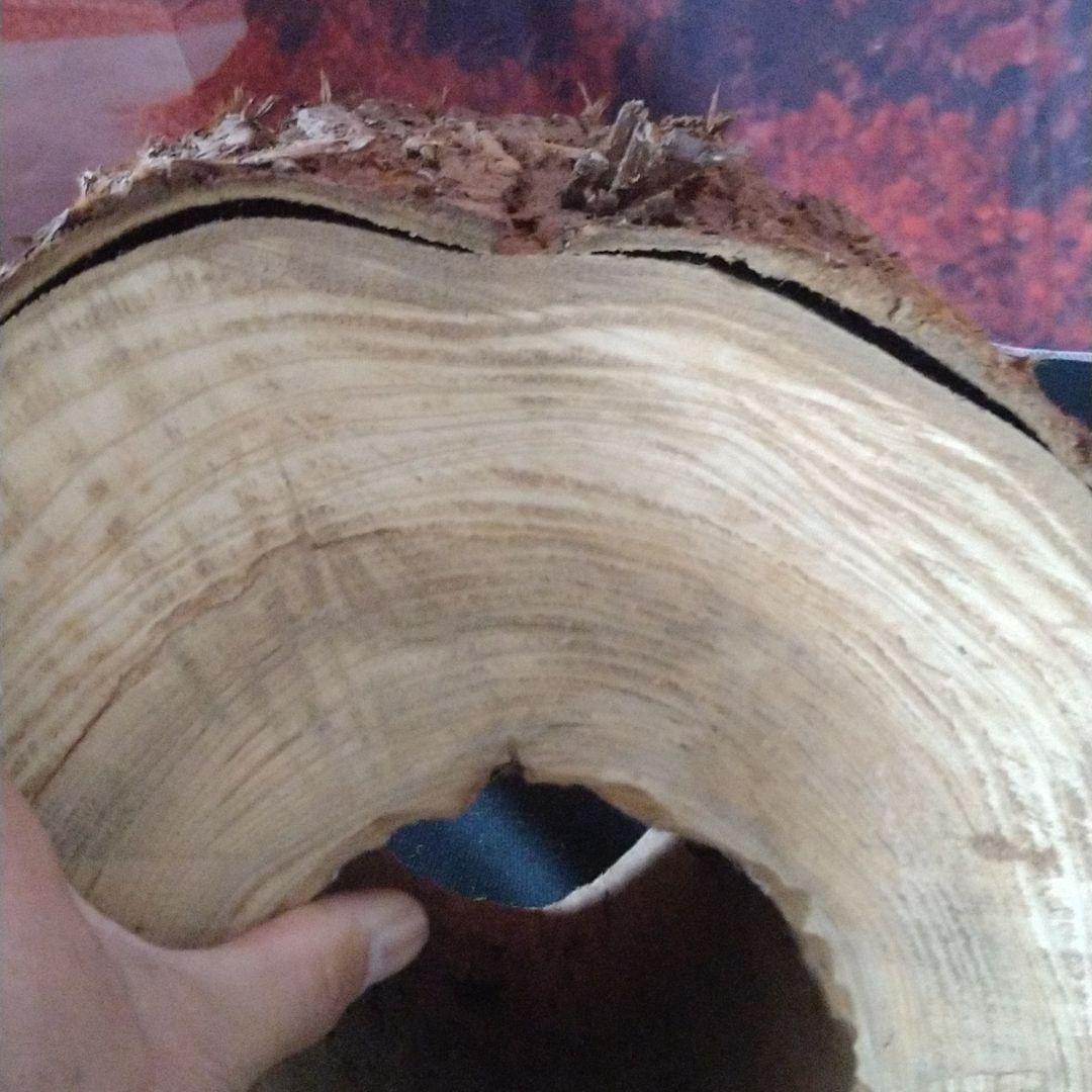 交渉中です！くりぬき丸太(杉)