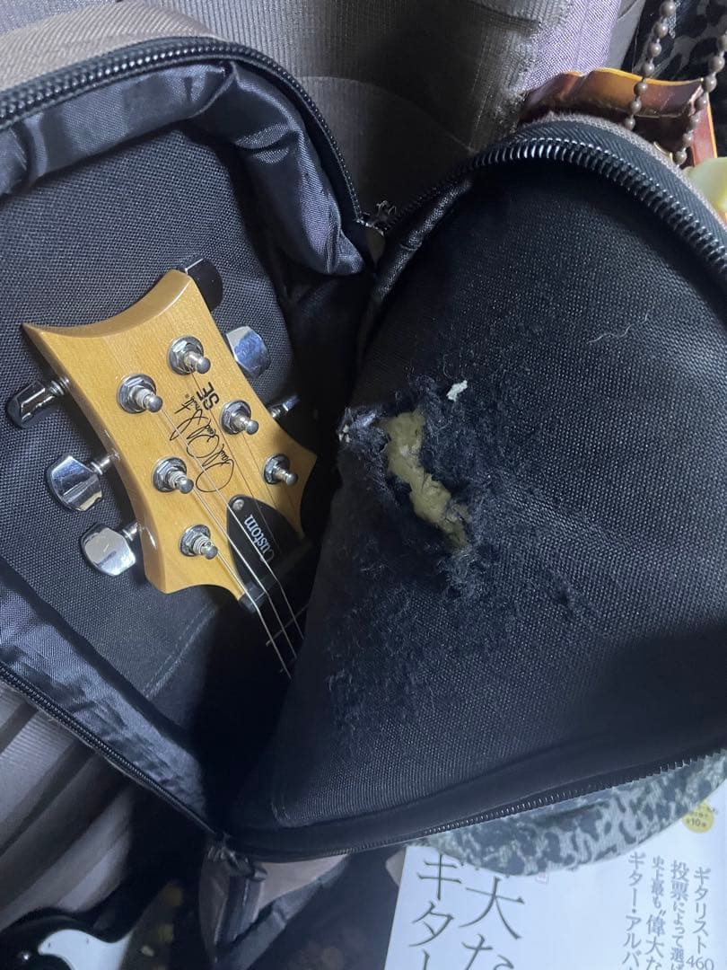 調整済み！PRS SE CUSTOM24 Trampas Green ギブソン