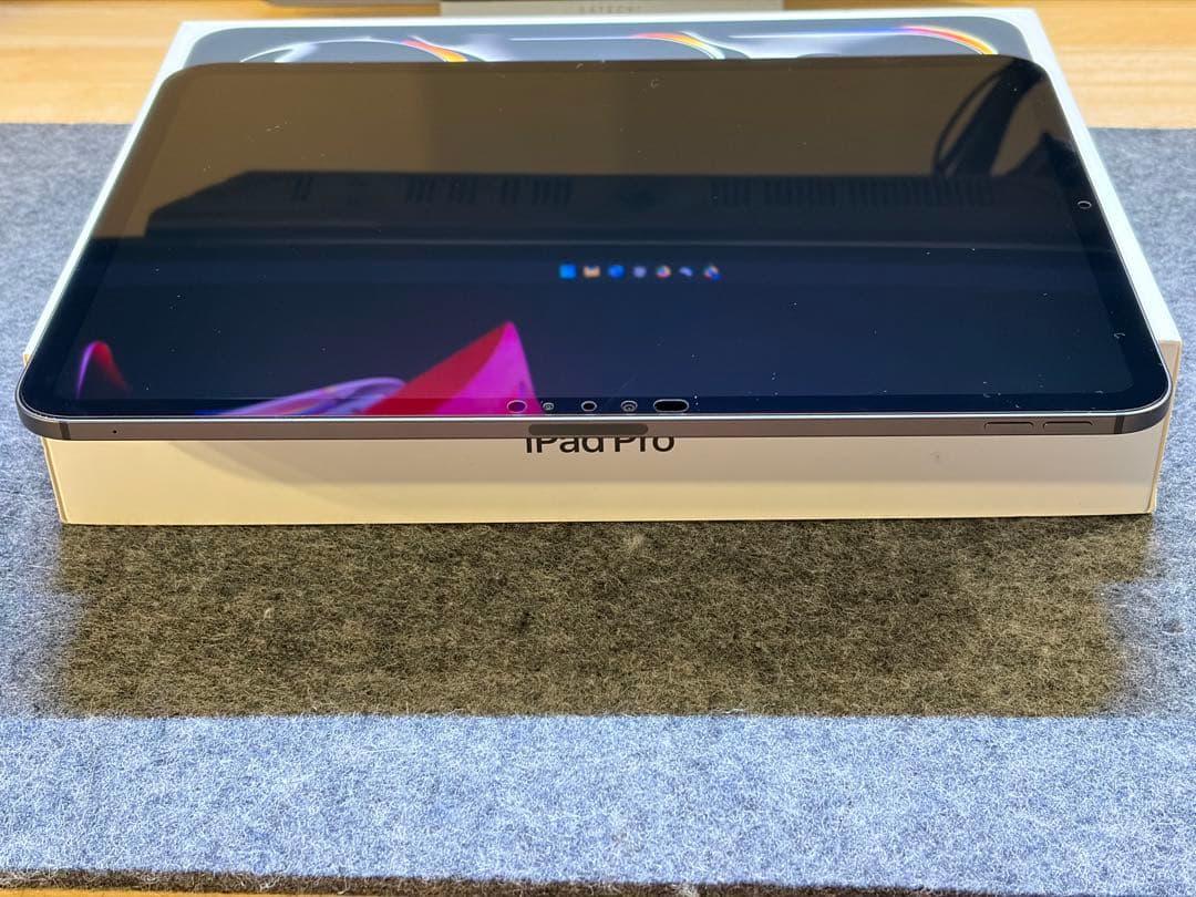 本日限定価格 保証残有 iPad Pro 11 M4 256GBセルラー