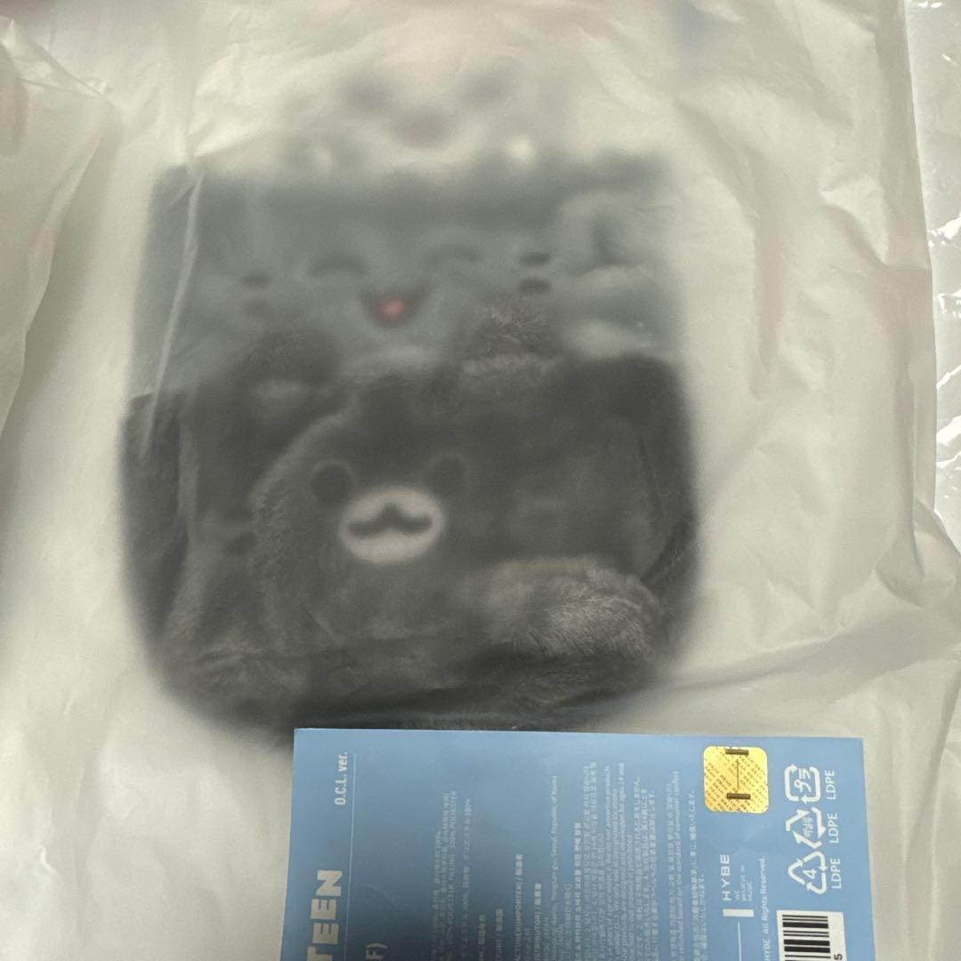 SEVENTEEN MINITEEN ジュン