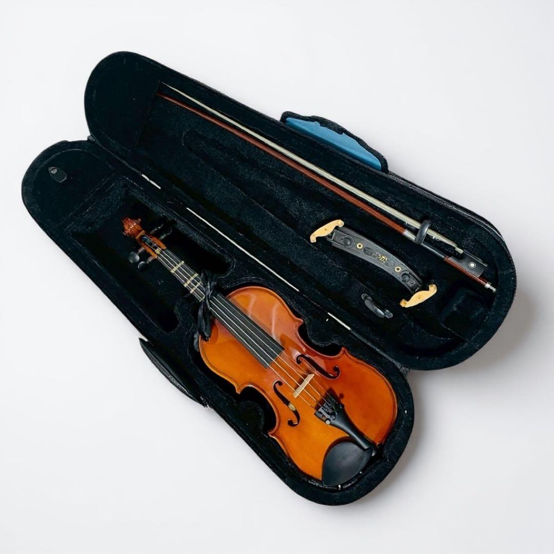 Carlogiordano vs-1 ヴァイオリン 1/4