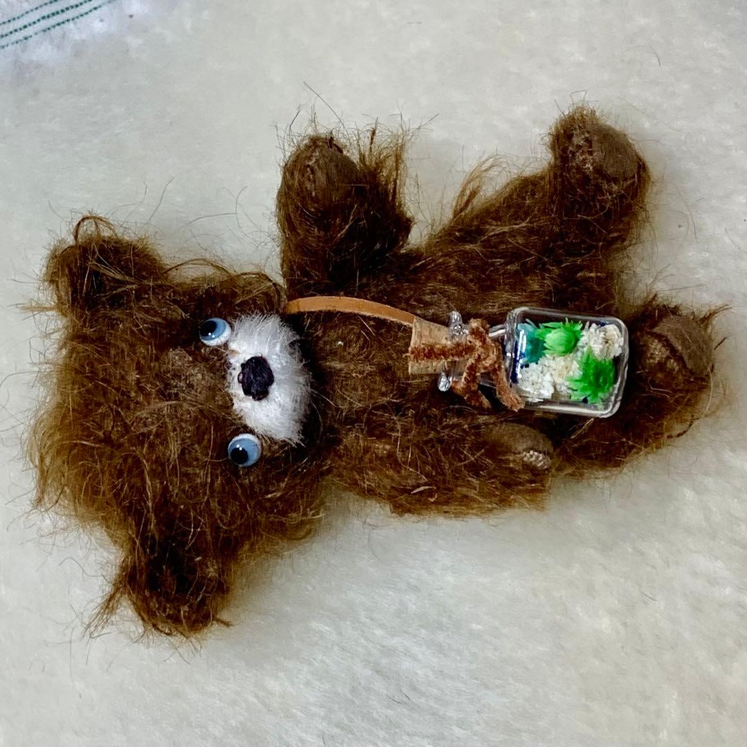 h*i様 テディベア 個性的な子 ブラウンカラー ポンチ目 可愛い