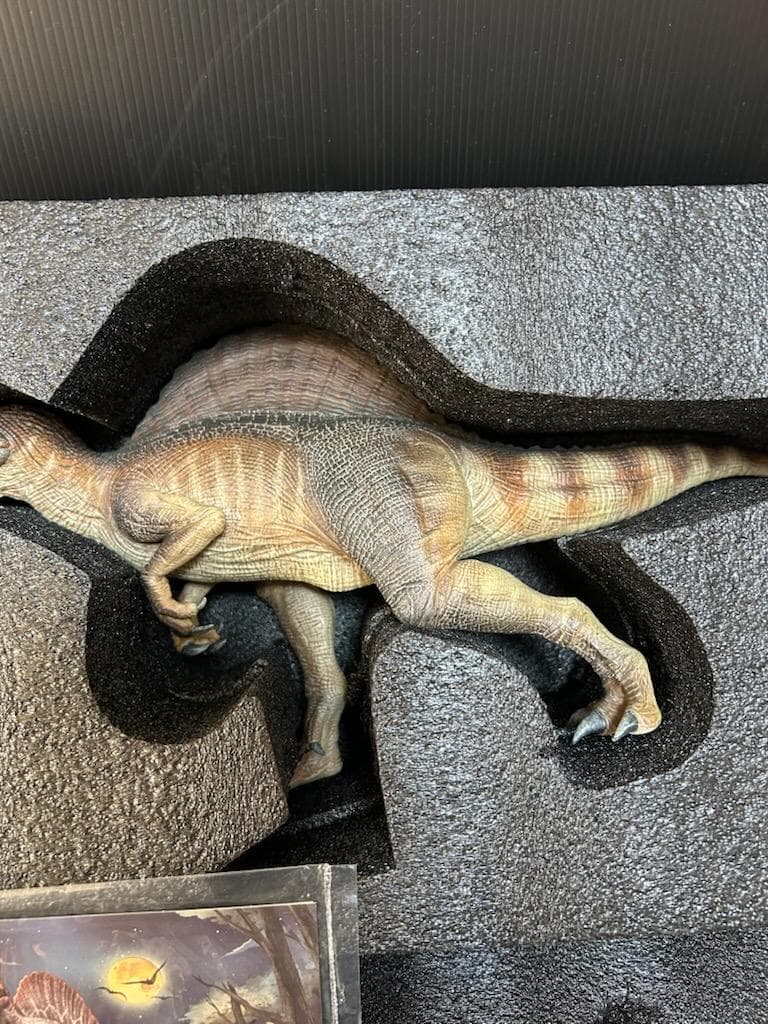 Nanmu 本心楠改 1/35 サイズ スピノサウルス