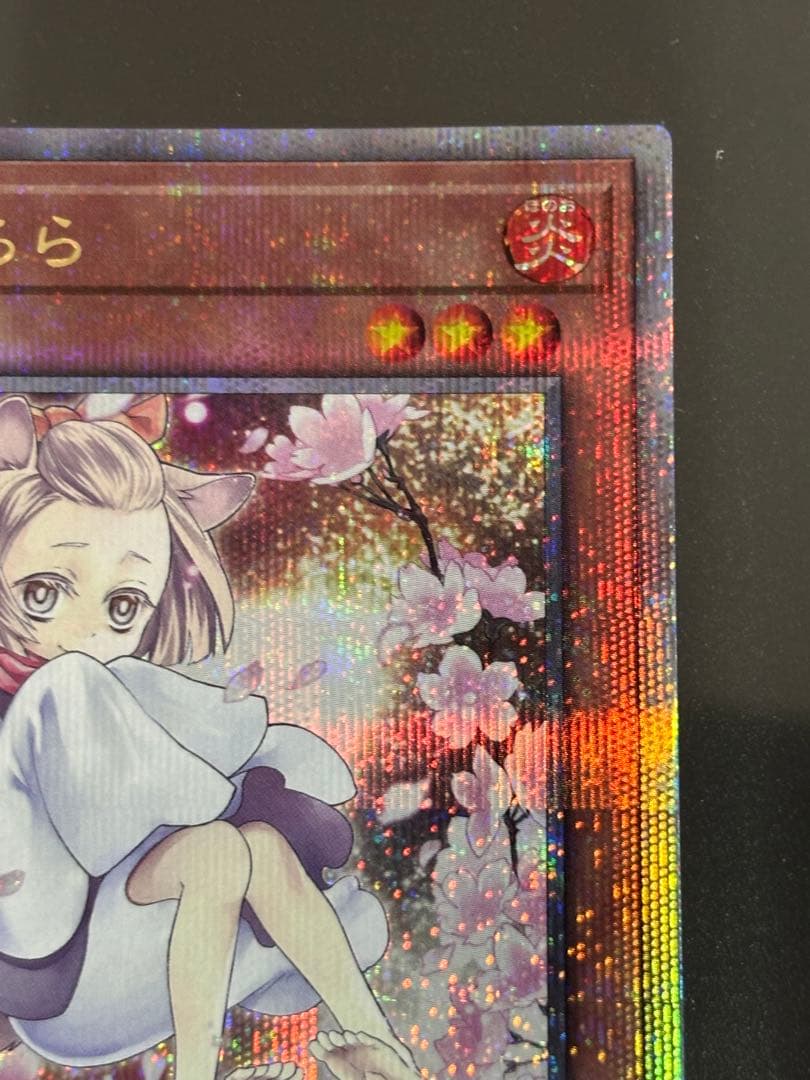 遊戯王OCG 灰流うらら　絵違い　25th シークレットレア　1枚