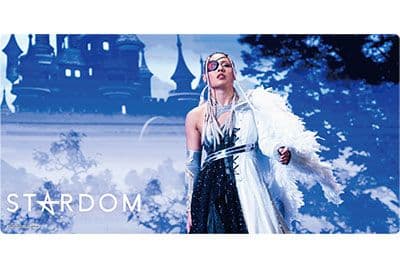 STARDOM ラバーマットコレクション&スリーブ 13点セット