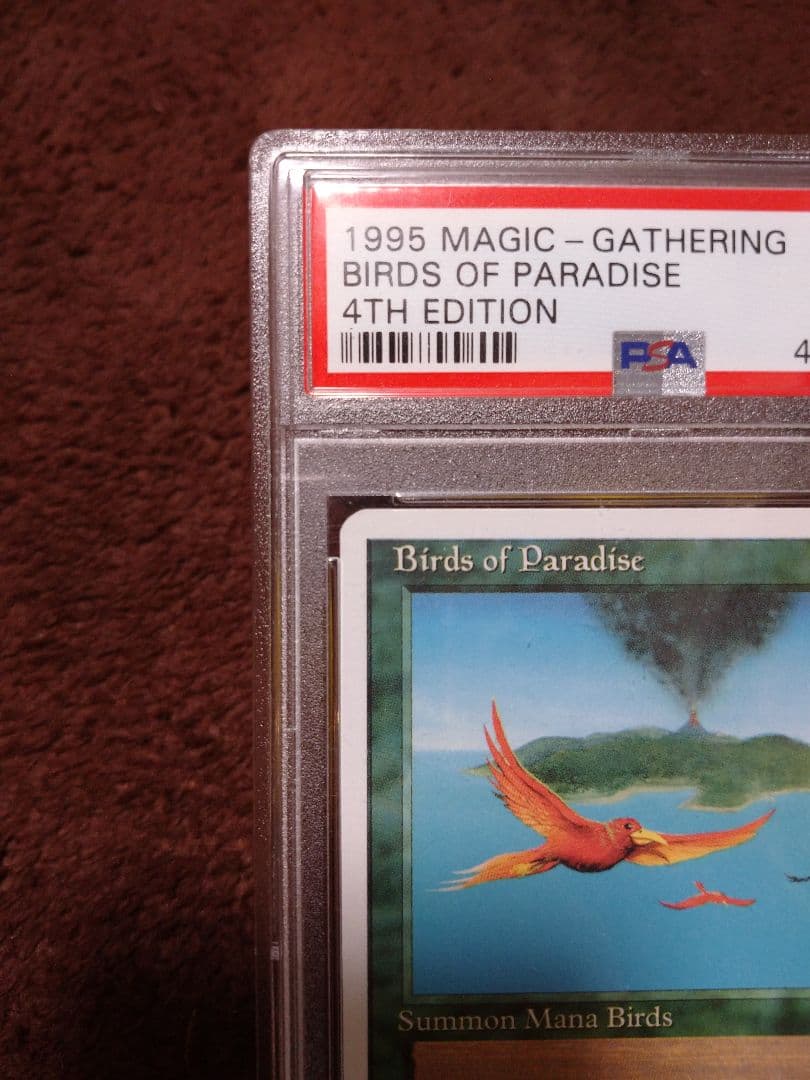 極楽鳥　第4版　PSA10