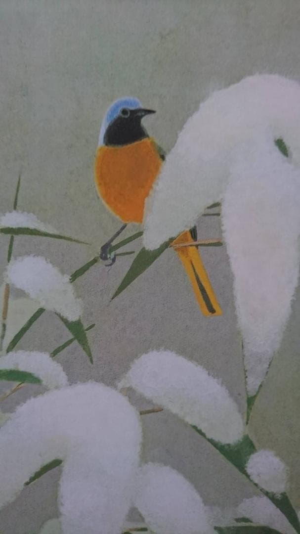 山口 華楊、コロタイプ・希少大判画版、新品高級額・額装付、日本画、自然、四季