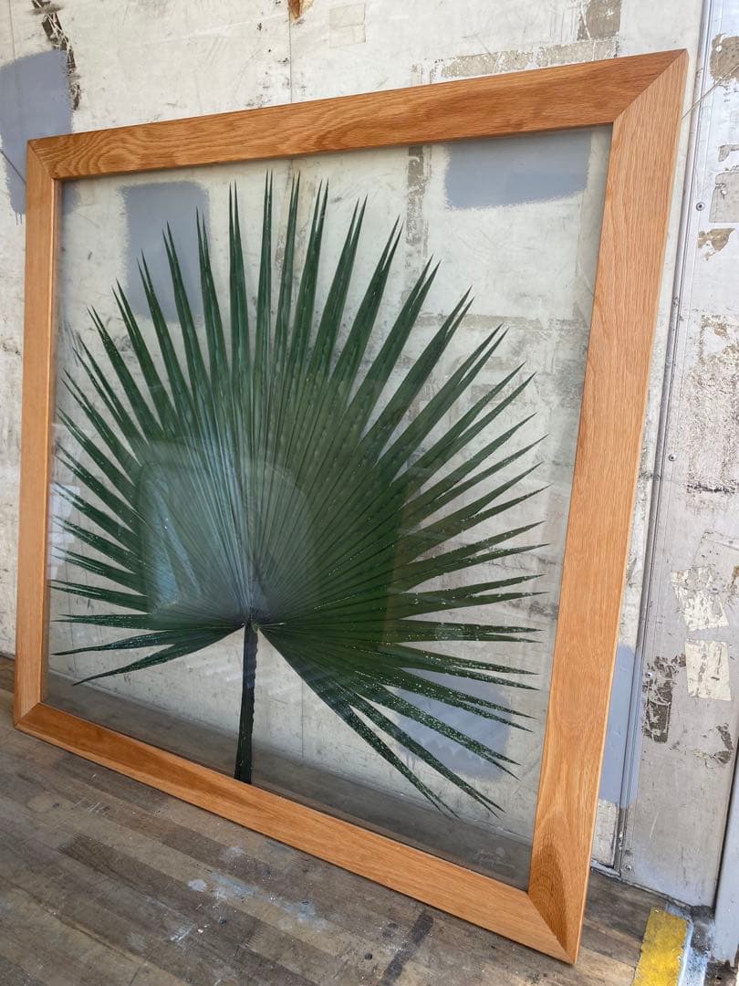 【希少＊限定品】jardin pamplemousse 植物アート 木製フレーム