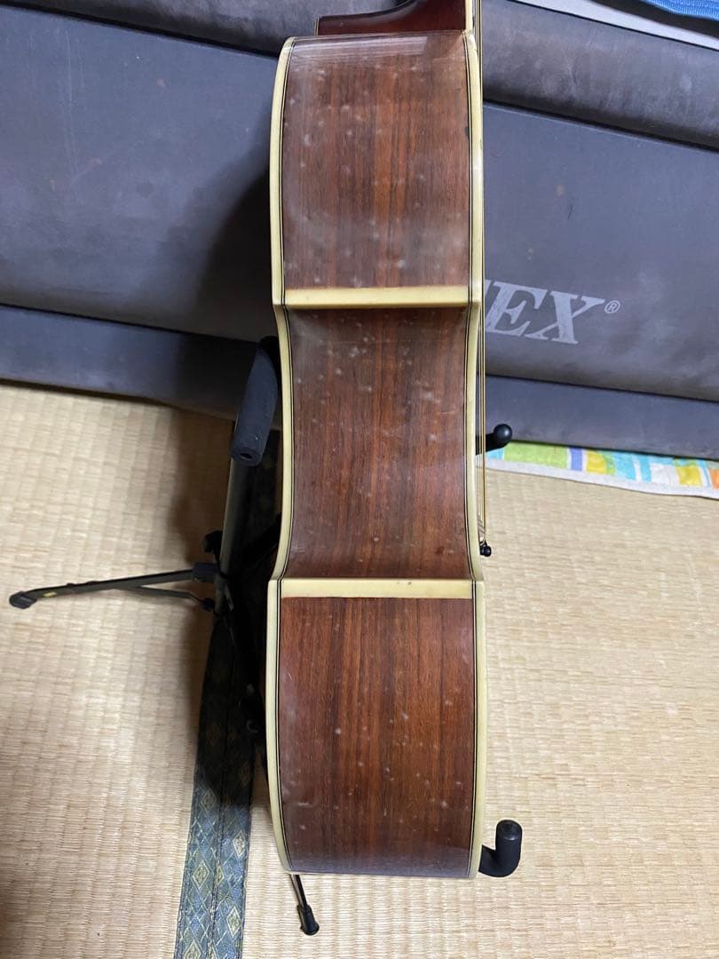 JAGARD VF600(VP60) バイオリンシェイブギター