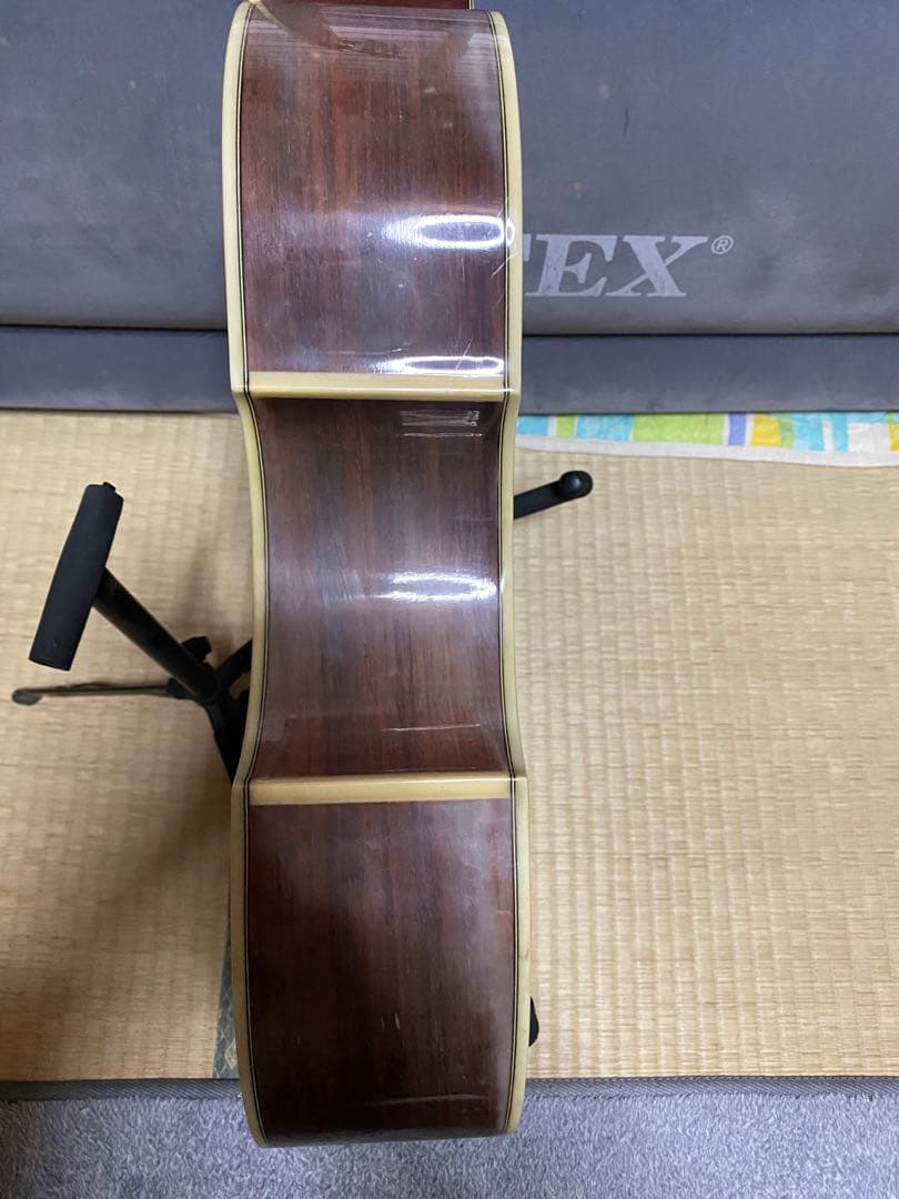 JAGARD VF600(VP60) バイオリンシェイブギター