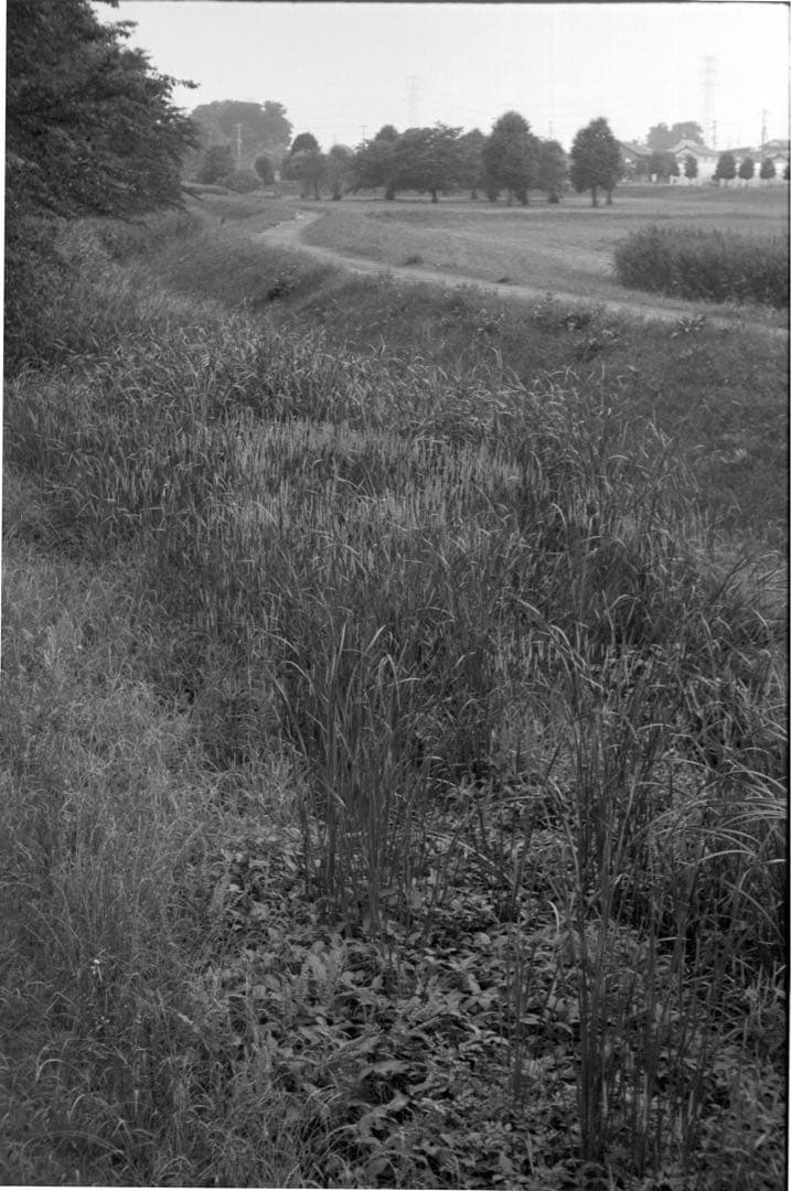 【希少】Takumar 58mm f/2.4 M42レンズ pentax