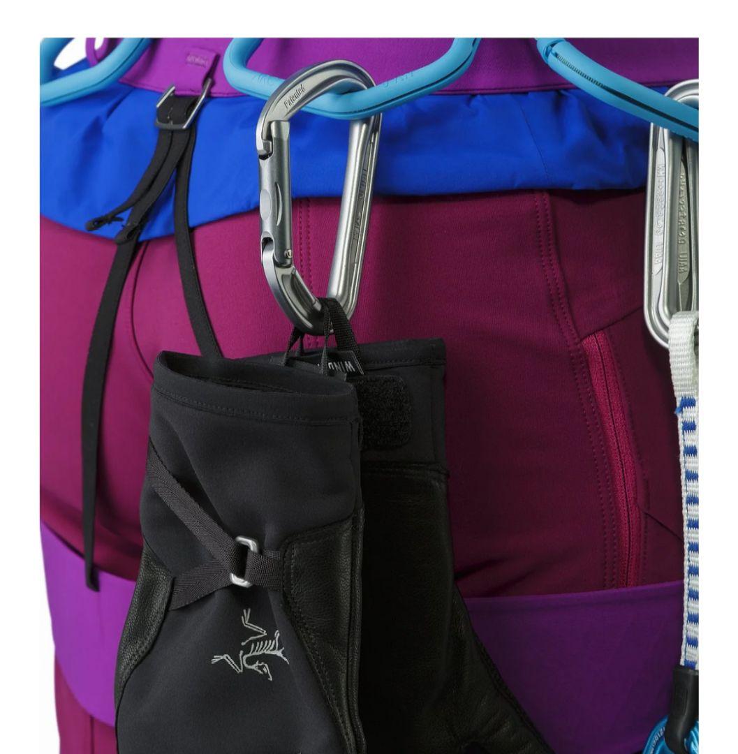 廃盤ARC’TERYX　アルファSLグローブ Mサイズ　BLACK