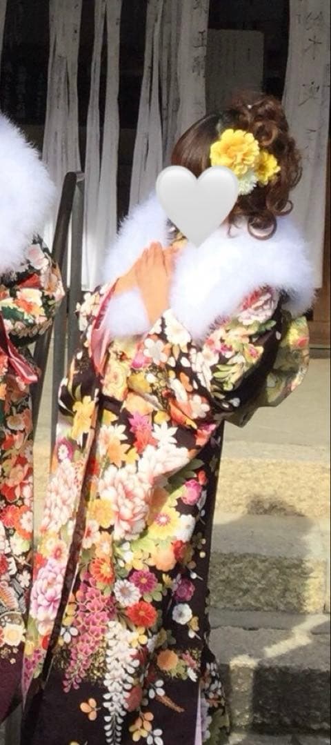 振袖フルセット(鞄、草履、髪飾り付き)