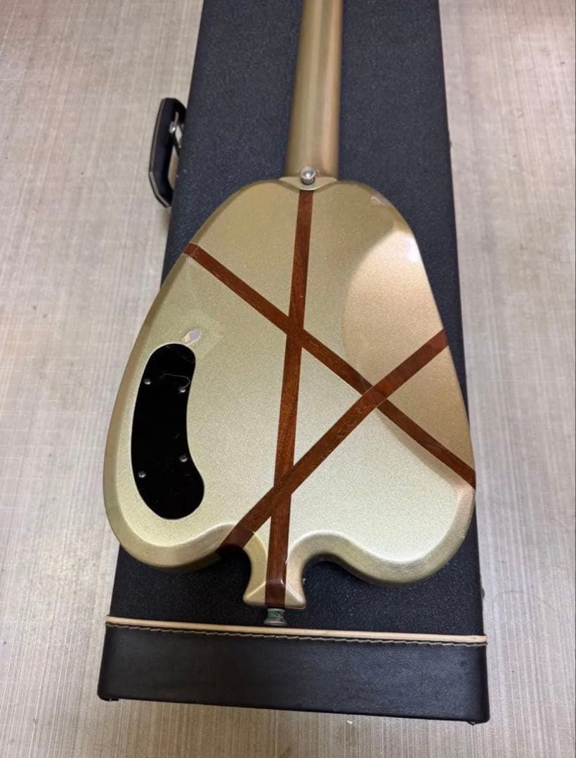 H.S.AndersonヒューストンAppleギター 希少 レア HS-A1