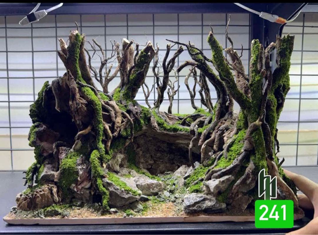 TTD 【⭐︎310様⭐︎】【美品・数量限定】