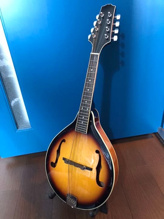 PLAYTECH フラットマンドリン