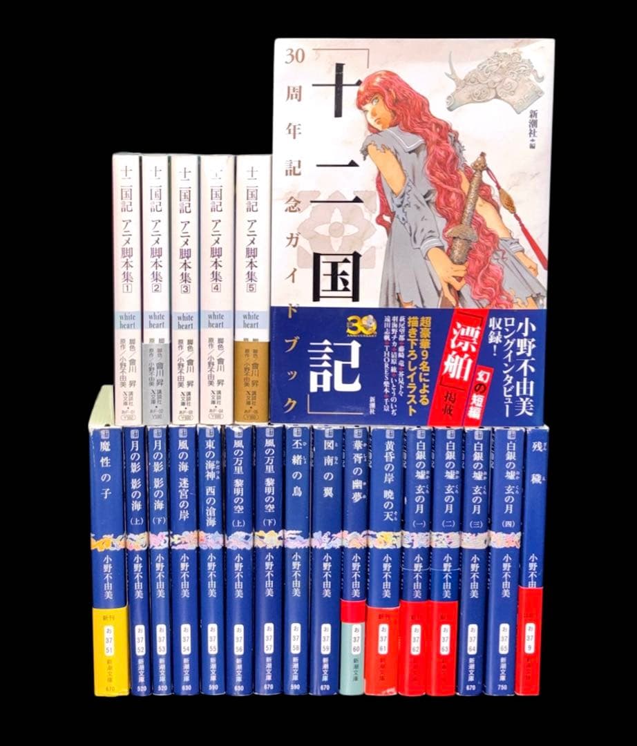 十二国記 残穢 小野不由美 ガイドブック アニメ脚本集 全22冊