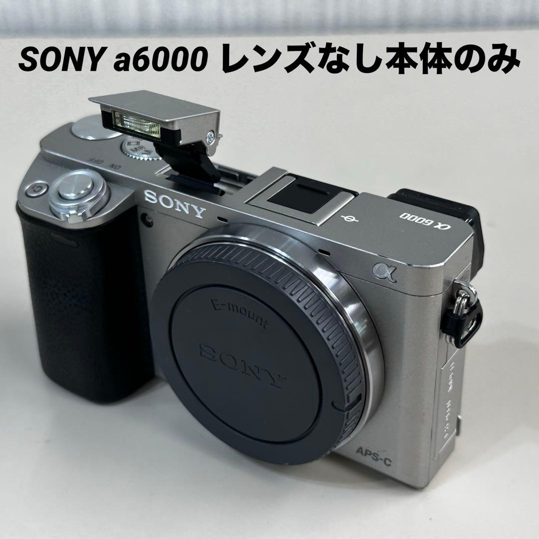 SONY α6000 ミラーレスカメラ 本体のみ