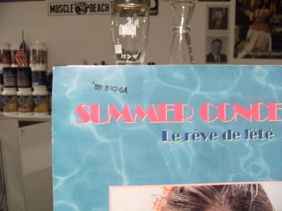 アイドル 1988年 大西結花 コンサートツアー パンフレット カタログ