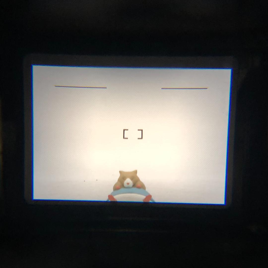 【C7207】Canon autoboy TELE6 DETE フィルムカメラ