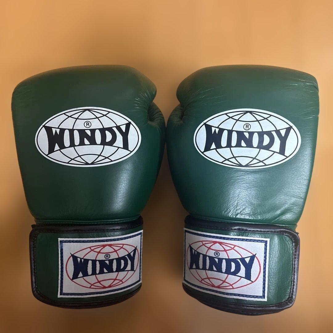 WINDY ボクシンググローブ 12 oz グリーン BGVH