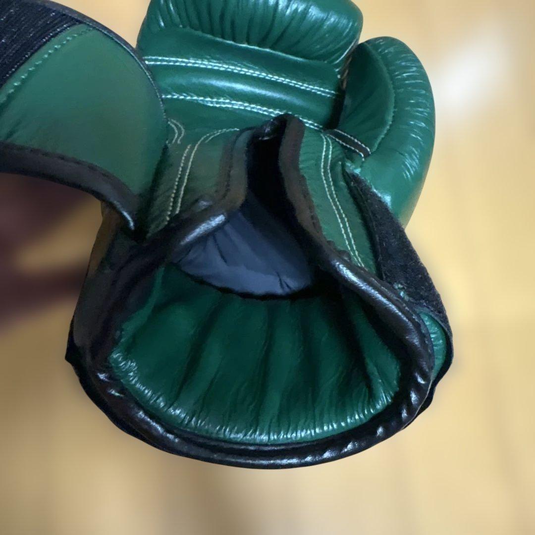 WINDY ボクシンググローブ 12 oz グリーン BGVH