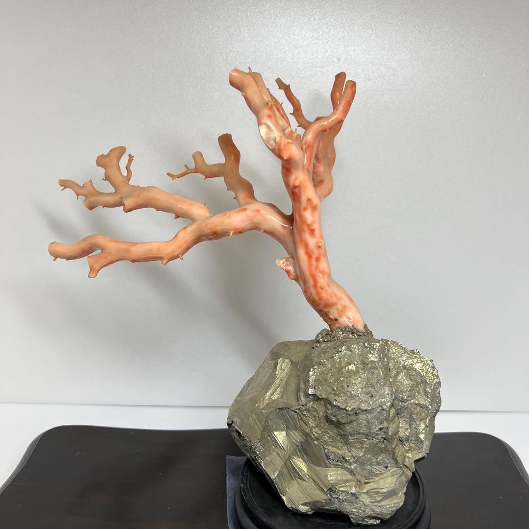 特大　極太桃色珊瑚　台付　3674g 東Y7-1106☆2Fトコオ