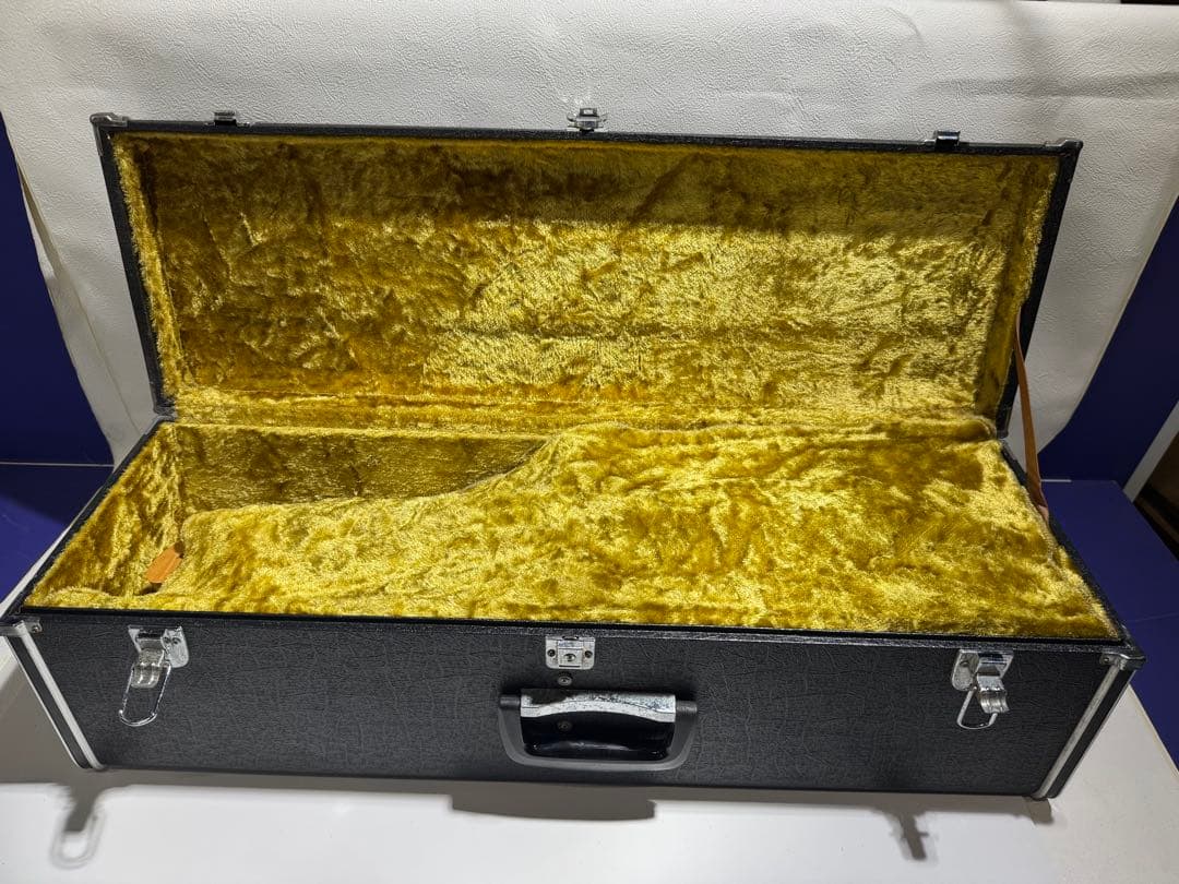 横内の花子 マンドリン