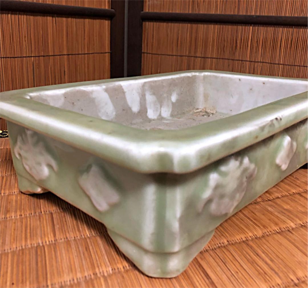 時代 青磁 水盤 盆栽