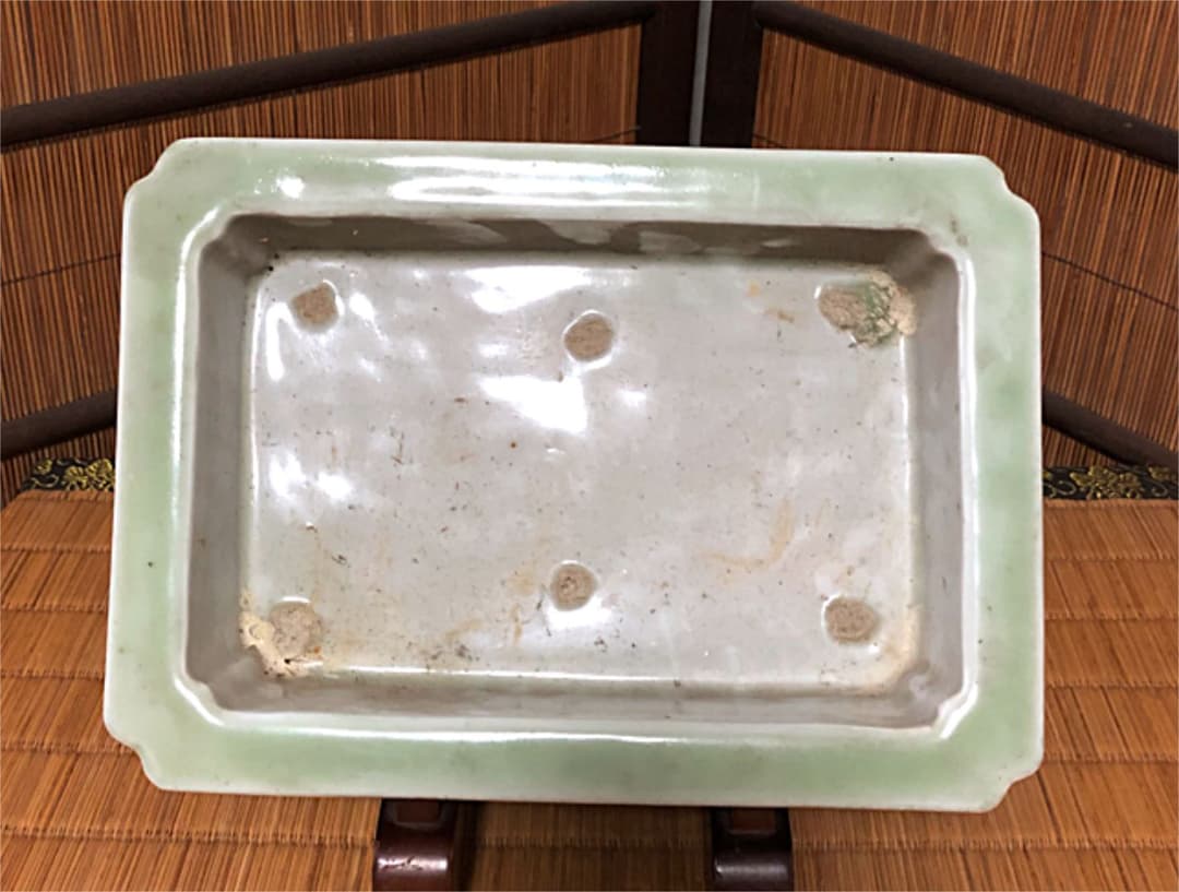 時代 青磁 水盤 盆栽